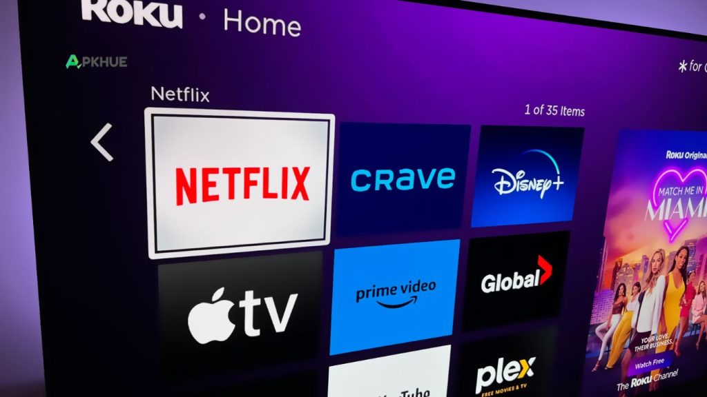 Netflix APK